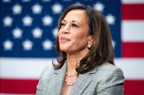 Kamala Harris has earned enough votes to win the Democratic presidential nomination, party chair announces
